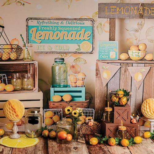 Limonádé stand vászon fotós háttér 225x150 cm 