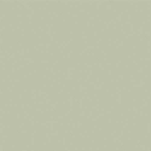 Pasztell zöld vászon fotós háttér 225x150 cm