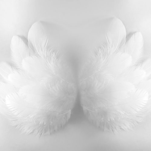 Angel poly Fotós háttér 300x200 cm